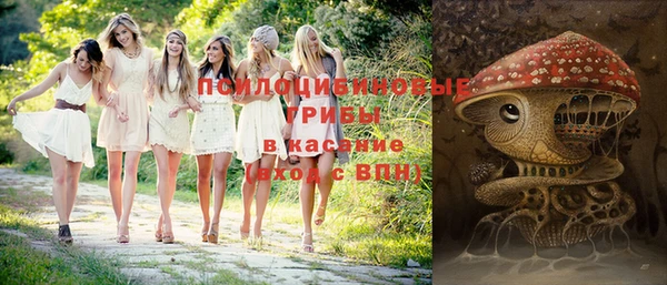 PSILOCYBIN Алексин