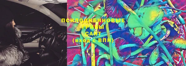 PSILOCYBIN Алексин