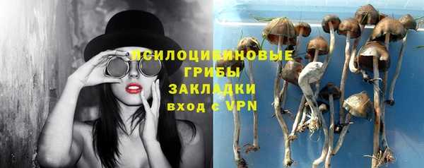 PSILOCYBIN Алексин