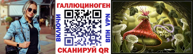 Псилоцибиновые грибы Psilocybine cubensis  сколько стоит  Новое Девяткино 